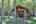 Blurred preview of media: IMG_4694_5_6_easyHDR