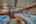 Blurred preview of media: Dorothy Gayle-55