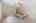 Blurred preview of media: 48 Orchard Drive Stow Massachusetts Job 39583 0050