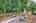 Blurred preview of media: IMG_4421_2_3_easyHDR