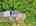 Blurred preview of media: DJI_20260604124859_0355_D_6_D_7_D_easyHDR