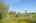 Blurred preview of media: IMG_0316