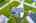 Blurred preview of media: iPixx_10_8