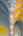 Blurred preview of media: WM-3KLimited-29