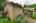 Blurred preview of media: 08