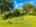 Blurred preview of media: 2025_08_August_103_Arrow_Dr_0010