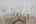 Blurred preview of media: 43 Cresta Verde-39