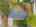 Blurred preview of media: 1-38