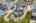 Blurred preview of media: 121 West Selfridge (12)