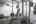 Blurred preview of media: IMG_0191.1