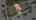 Blurred preview of media: DJI_0888 copy