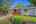 Blurred preview of media: DSC09632