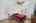 Blurred preview of media: 2-826-7781