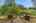 Blurred preview of media: Bonney Lake 6812 Exterior-8