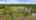 Blurred preview of media: DJI_0240