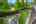 Blurred preview of media: 44