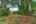 Blurred preview of media: 1024 Eaverson St-15