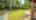 Blurred preview of media: 123 Austin Run Ct-6