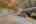Blurred preview of media: DSC03412
