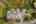 Blurred preview of media: 1-87