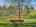 Blurred preview of media: 20499447-24