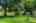 Blurred preview of media: Westlake Village 05