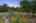 Blurred preview of media: 723CountyRd242-6
