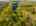 Blurred preview of media: 817 Brill Road Aerial LRCF-64