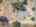 Blurred preview of media: Montecito_Way_69