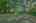 Blurred preview of media: 8815 Brosnon Lane-52