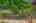 Blurred preview of media: 31