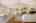 Blurred preview of media: h_b-23
