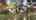 Blurred preview of media: IMG_5217