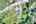 Blurred preview of media: DJI_0176_7_8_easyHDR