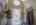 Blurred preview of media: IMG_9800