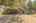 Blurred preview of media: 5500MeadowOakSt-2