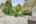 Blurred preview of media: 024_ROB05228