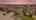 Blurred preview of media: DJI_20260625141840_0043_D_twilight_b4f45f3c