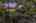 Blurred preview of media: 2747 Glendon Ave Los Angeles, CA 90064 - Twilight 2