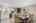 Blurred preview of media: 1-8