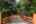 Blurred preview of media: 1-55