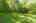 Blurred preview of media: 136 Fairbanks Street West Boylston Massachusetts Job 39378 0014