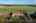 Blurred preview of media: DJI_0237