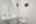 Blurred preview of media: DSC01248