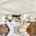 Blurred preview of media: 16