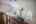 Blurred preview of media: IMG_9901