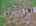 Blurred preview of media: DJI_20260616114916_0824_D_5_D_6_D_easyHDR