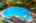Blurred preview of media: 18