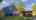 Blurred preview of media: IMG_5842