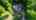 Blurred preview of media: DJI_0181